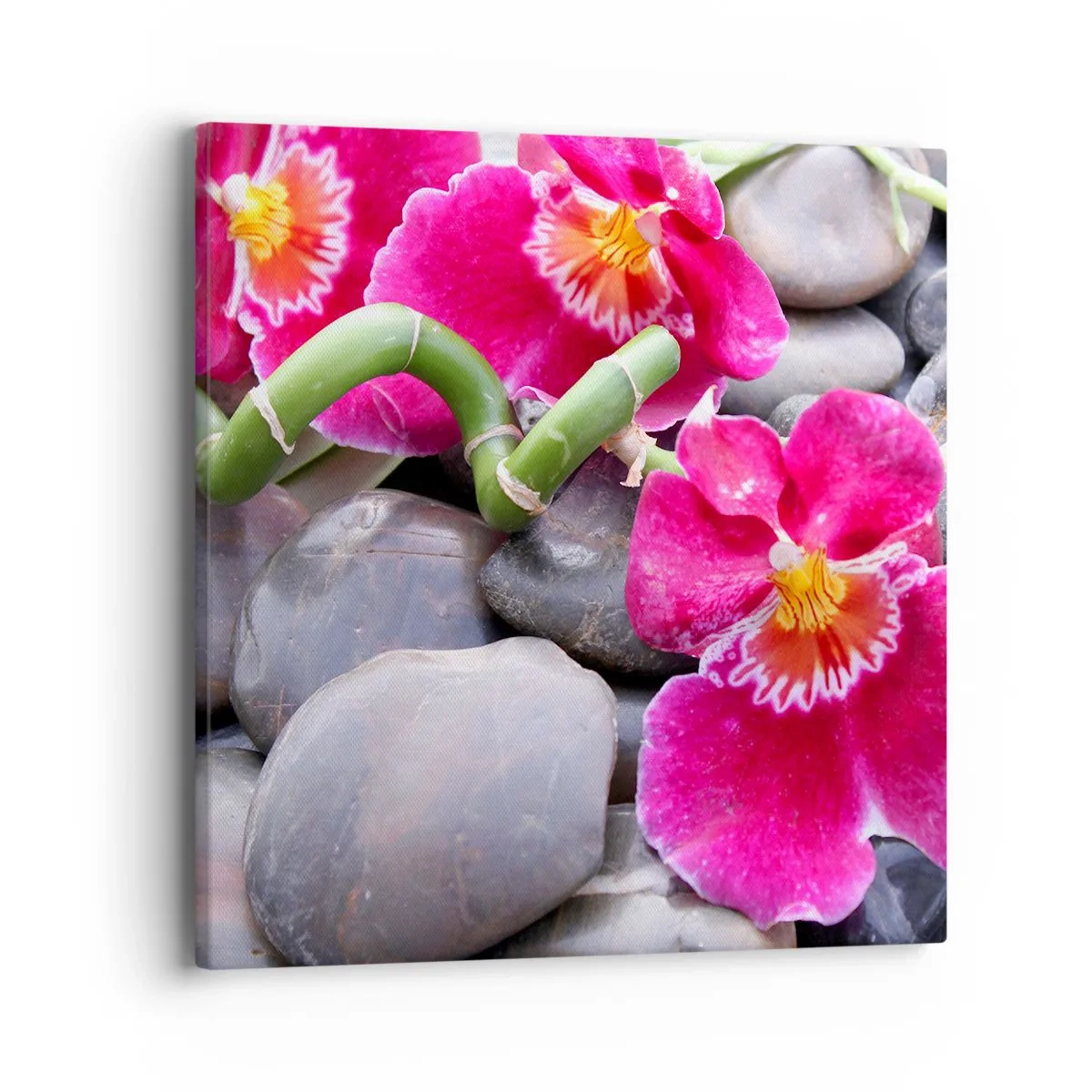 Vászonkép - Hideg és forró - 40x40 cm