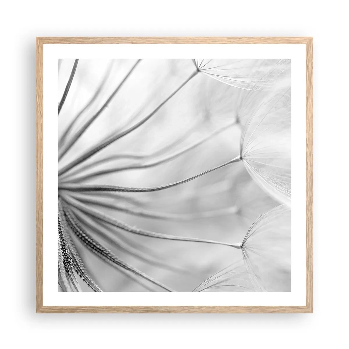 Poszter világos tölgy keretben - Pitypang, papírsárkány - 60x60 cm