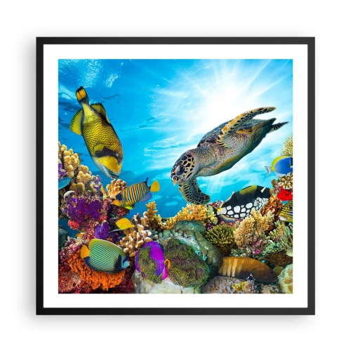 Poszter fehér keretben - Korall sétány - 60x60 cm