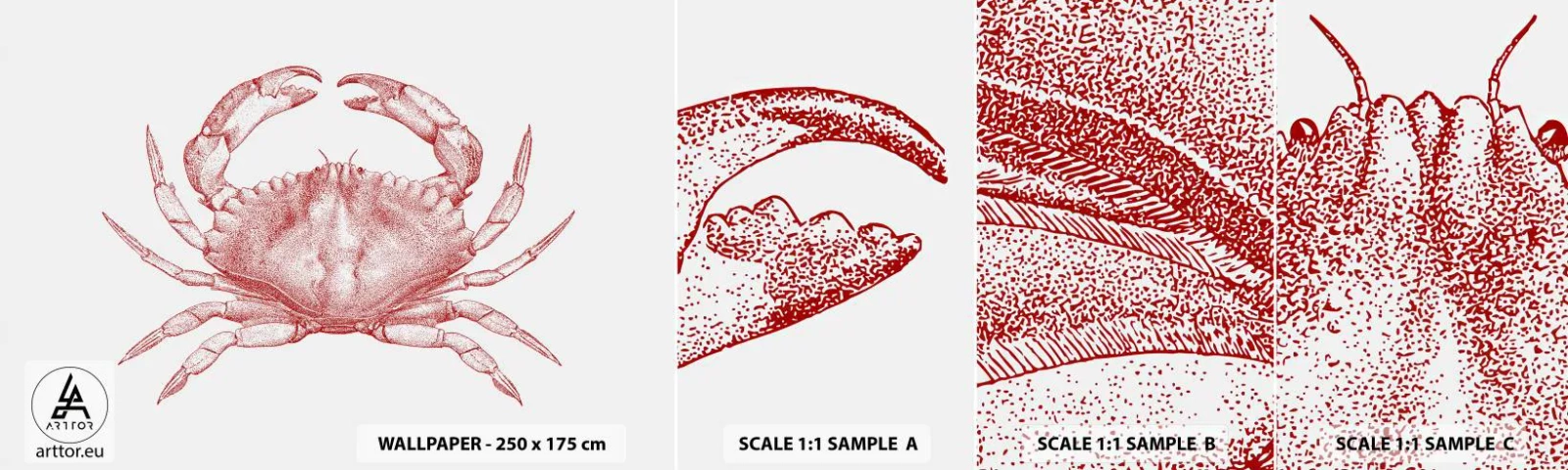 Fotótapéta Minta Standard Eco - Rák a rákok felett - Rák, Tenger gyümölcsei, Kagylófélék - 100x30 cm