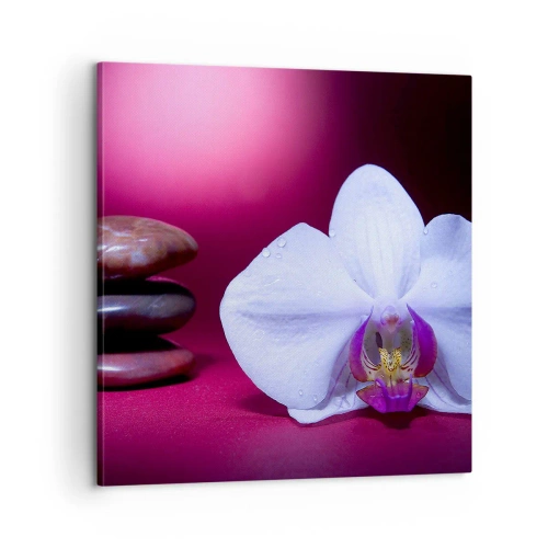 Vászonkép - A frissesség tanulmánya lilában - 60x60 cm