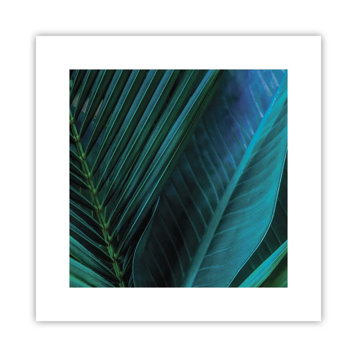 Poszter - A zöld anatómiája - 30x30 cm