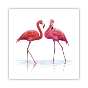 Poszter - Rozsaszín randez-vous - 60x60 cm