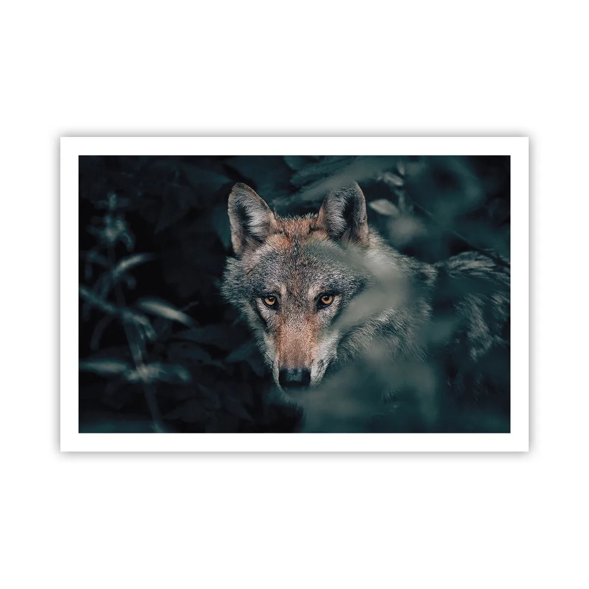 Poszter - Vadász - 91x61 cm