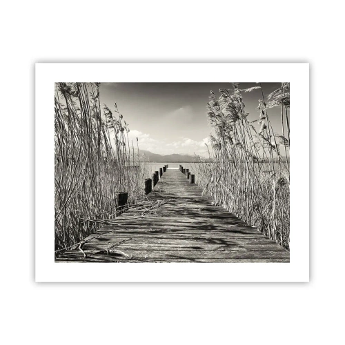 Poszter - A fű csendjében - 50x40 cm