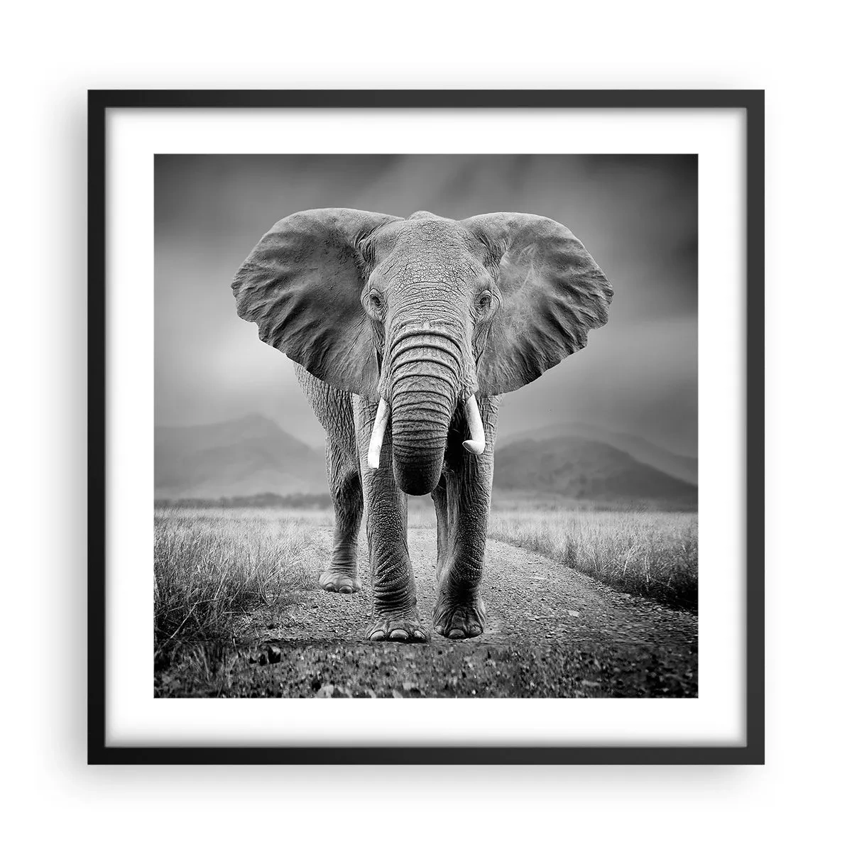 Poszter fehér keretben - A házigazda üdvözli - 50x50 cm