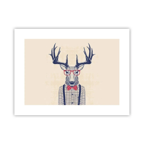 Poszter - Mókás extravagancia - 40x30 cm