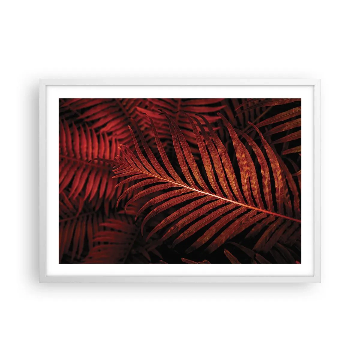 Poszter fekete keretben - Az élet vörös színe - 70x50 cm