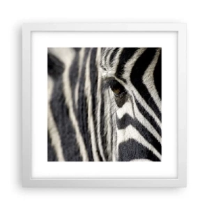 Poszter fekete keretben - Csíkos portré - 30x30 cm