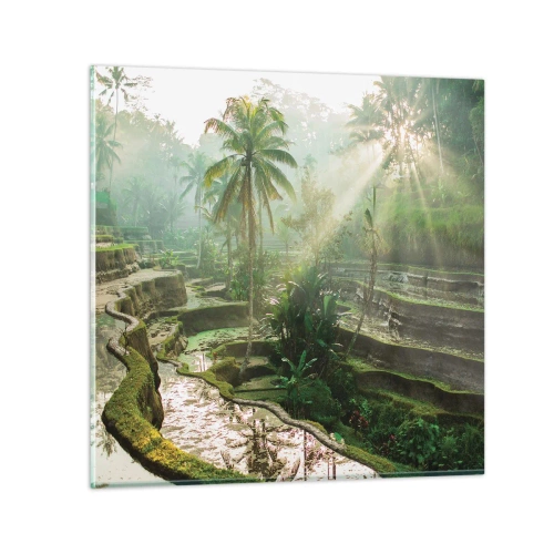 Üveg kép - Felnőni a napon - 60x60 cm