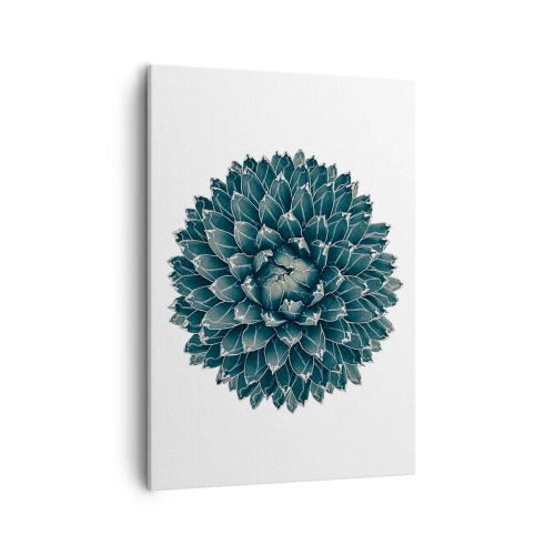 Vászonkép - A sivatag csillaga - 50x70 cm