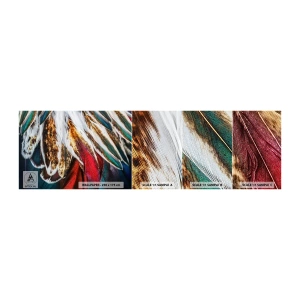 Fotótapéta Minta Standard Eco - A repülés titkai - Absztrakció, Darab, Boho - 100x30 cm