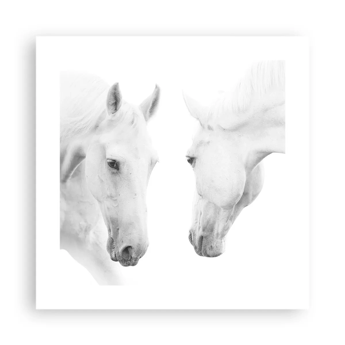 Poszter - Ez a barátság...? - 40x40 cm