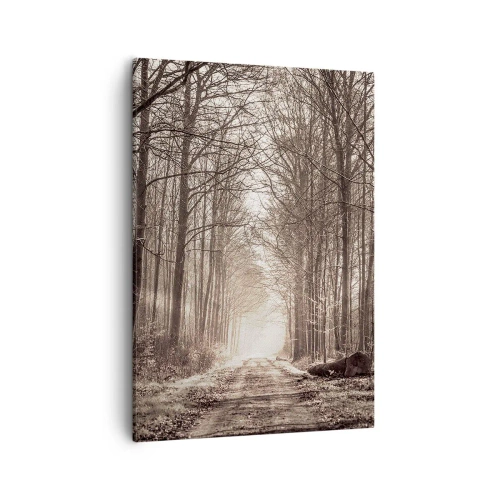 Vászonkép - Erdei katedrális - 50x70 cm