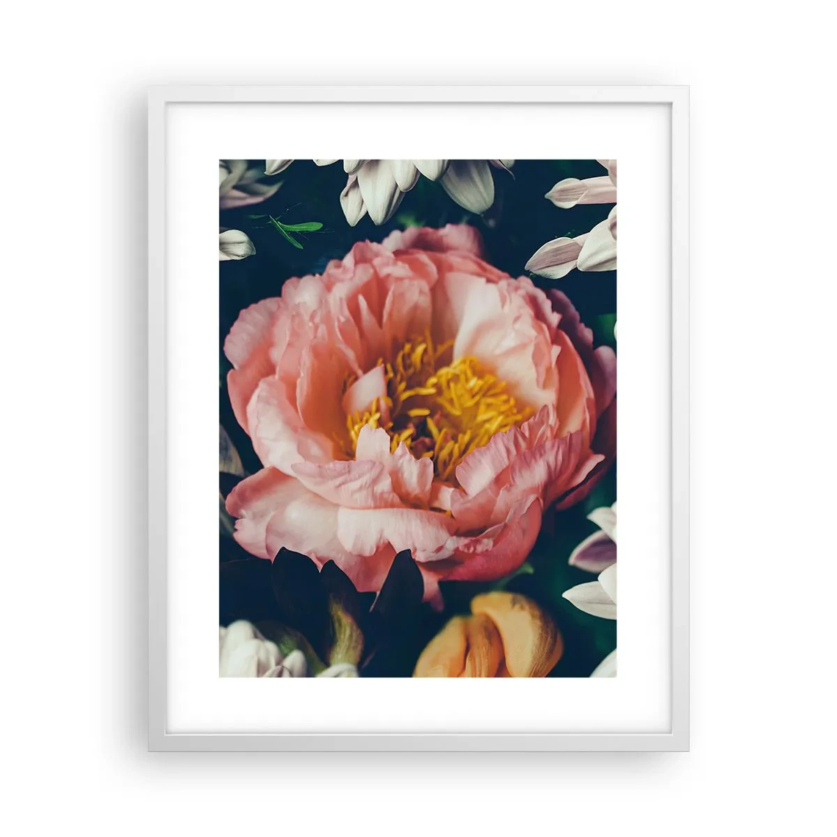 Poszter fekete keretben - Barokk pompával - 40x50 cm