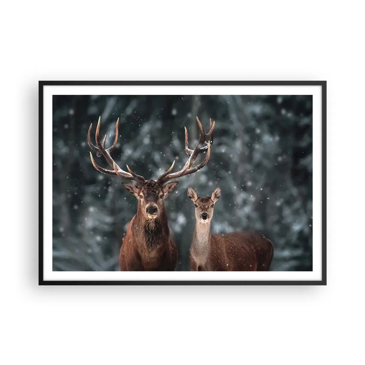 Poszter fehér keretben - Az erdő ura a feleségével - 100x70 cm