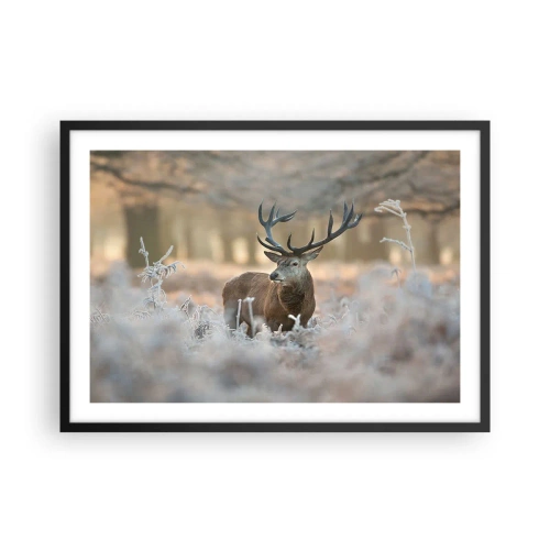 Poszter fehér keretben - Friss reggel - 70x50 cm