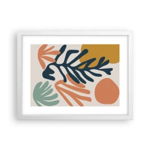 Poszter fekete keretben - Koralltengerek - 40x30 cm