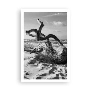 Poszter - Tengeri szobor - 61x91 cm