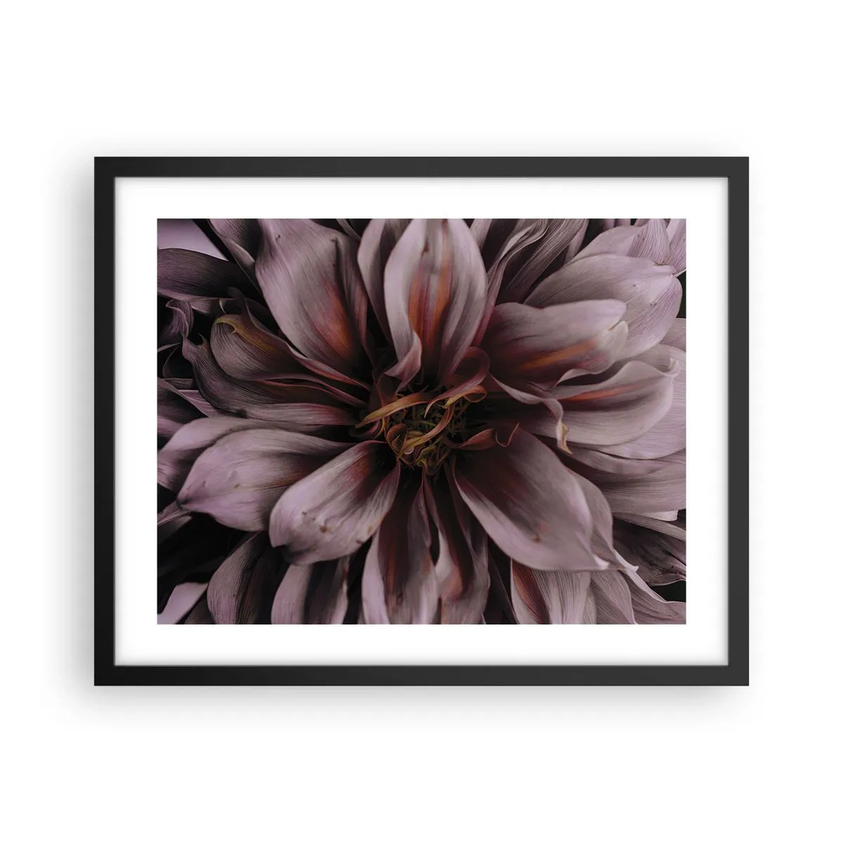 Poszter fehér keretben - Virágos szív - 50x40 cm