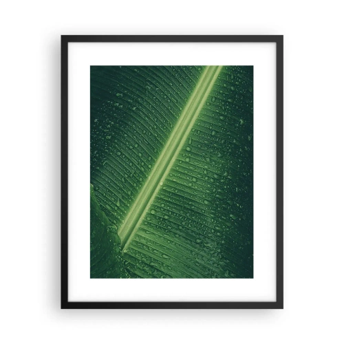 Poszter fehér keretben - A növényzet szerkezete - 40x50 cm