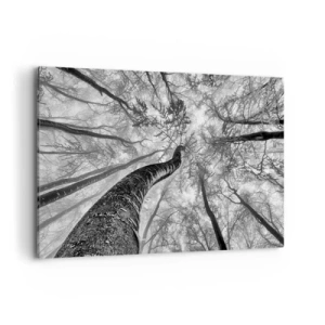 Vászonkép - Verseny a fény felé - 120x80 cm