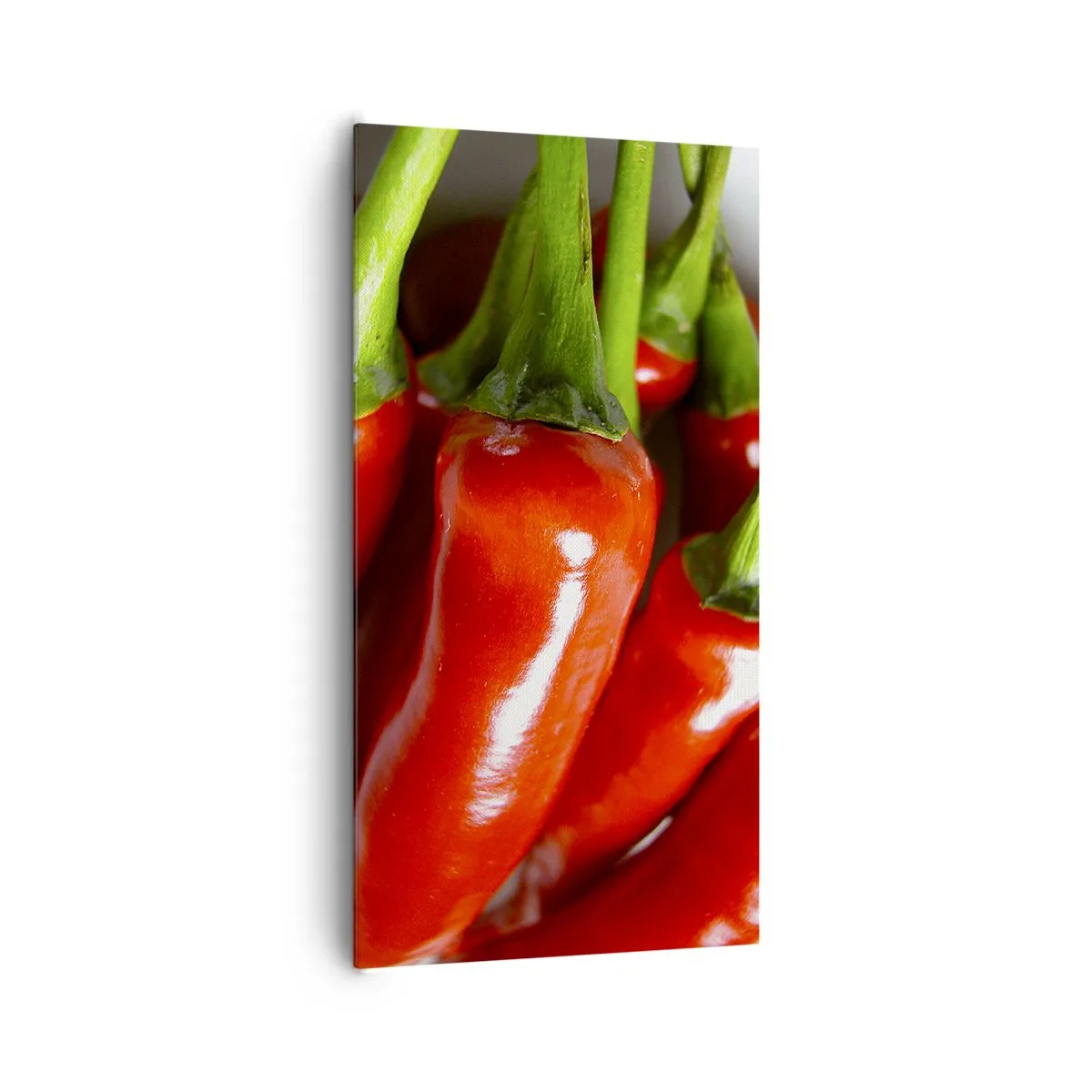 Vászonkép - Lédús, fényes, sima - 65x120 cm