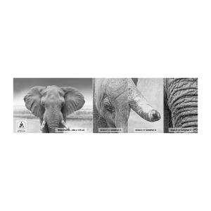 Fotótapéta Minta Premium Canvas - Üdv a világomban - Elefánt, Afrika, Állatok - 100x30 cm
