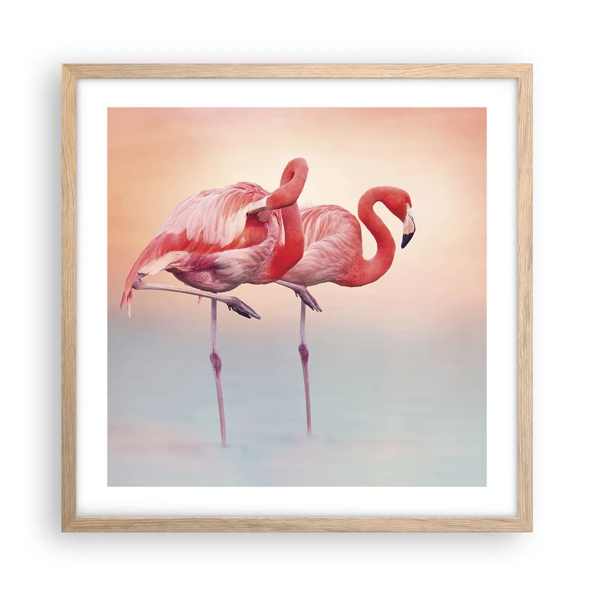 Poszter világos tölgy keretben - A lenyugvó nap színe - 50x50 cm