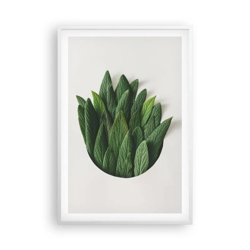 Poszter fekete keretben - Féktelen kíváncsiság - 61x91 cm