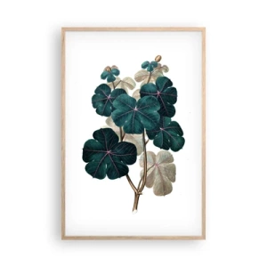 Poszter világos tölgy keretben - Egy régi herbáriumból - 61x91 cm