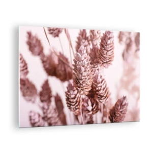 Üveg kép - Szárított fűkalácsok púderrózsaszín árnyalatokban - 70x50cm - Látszólag feltűnő - Modern fali dekoráció nappalihoz és hálószobához ARTTOR