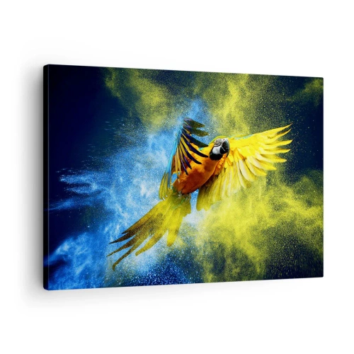 Vászonkép - Egy papagáj repülés közben, sárga és kék színű robbanások hátterében. - 70x50cm - A kék és arany porban - Modern fali dekoráció nappalihoz és hálószobához ARTTOR