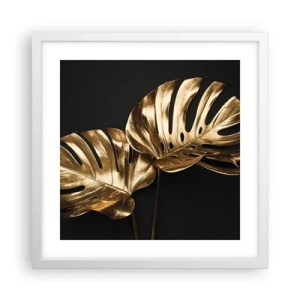 Poszter fekete keretben - A természet kincsei - 40x40 cm