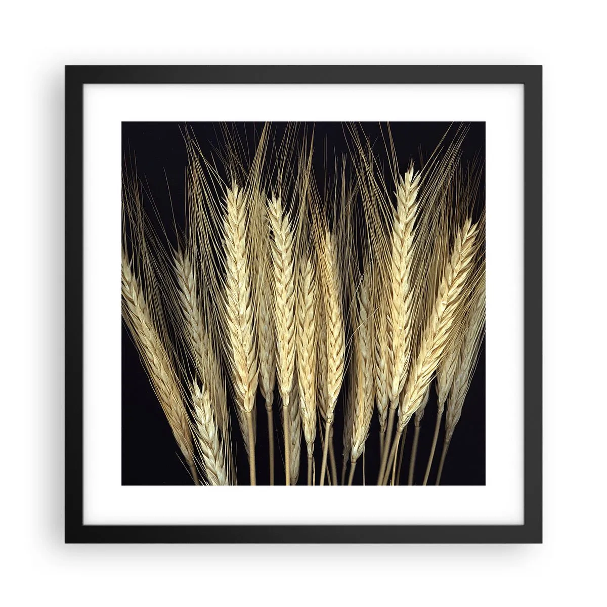 Poszter fehér keretben - Rusztikus varázslat - 40x40 cm