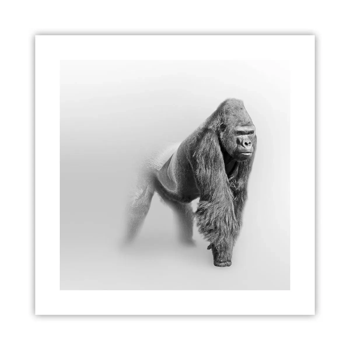 Poszter - Magabiztos az erejében - 40x40 cm