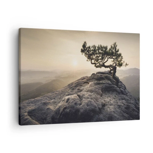 Vászonkép - Egy magányos fa egy sziklás csúcson a napfényben - 70x50cm - Az élet mindig győz - Modern fali dekoráció nappalihoz és hálószobához ARTTOR