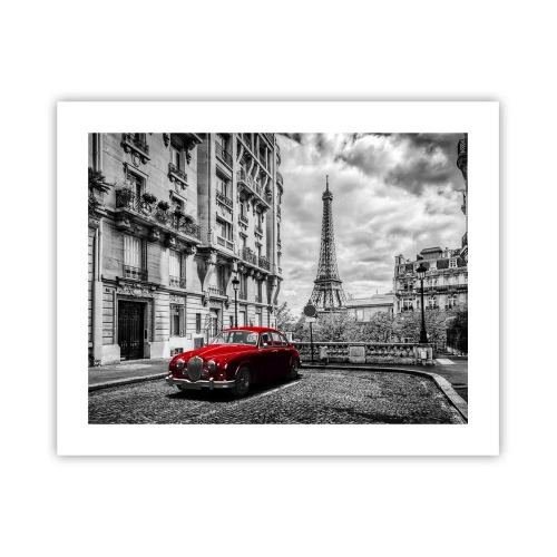 Poszter - Ragadozó a városban - 50x40 cm