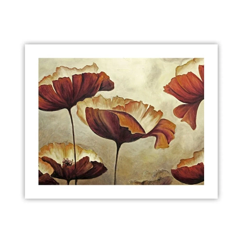 Poszter - Rét - 50x40 cm