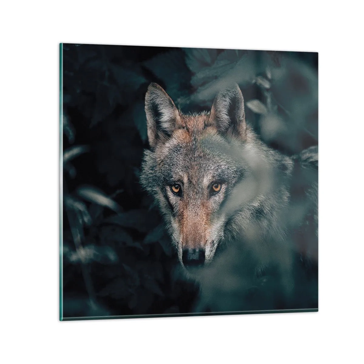 Üveg kép - Vadász - 60x60 cm