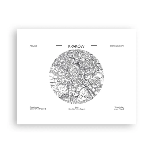 Poszter - Krakkó anatómiája - 50x40 cm