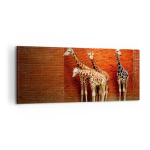 Vászonkép - Láttok akácot? - 100x40 cm