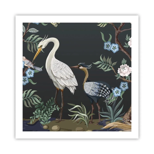 Poszter - Madar parádé - 60x60 cm