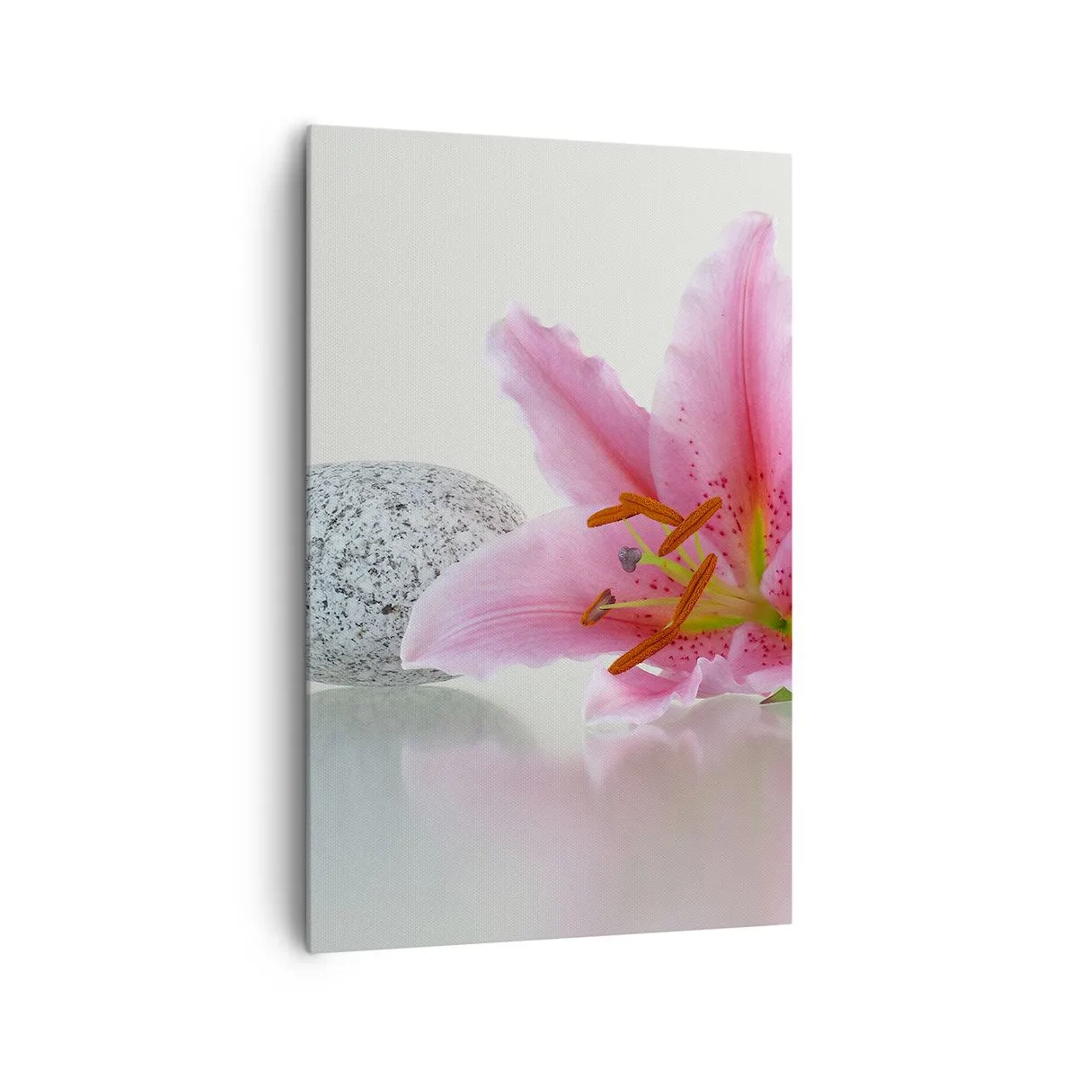 Vászonkép - Egy tanulmány rózsaszín, szürke és fehér színben - 80x120 cm