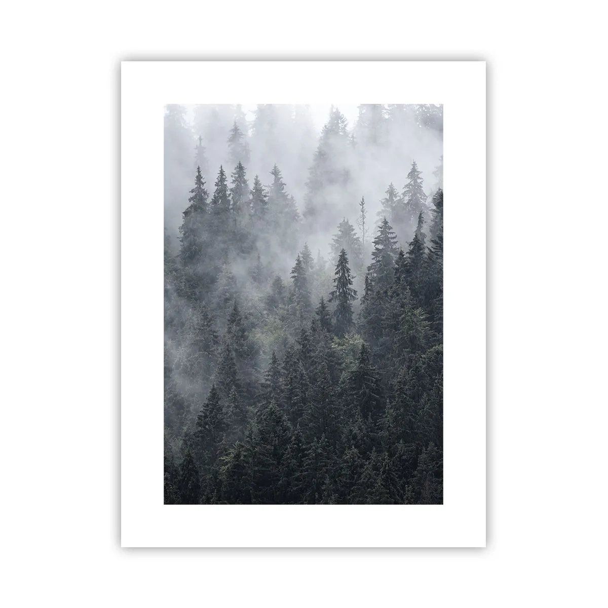 Poszter - Erdei hajnal - 30x40 cm