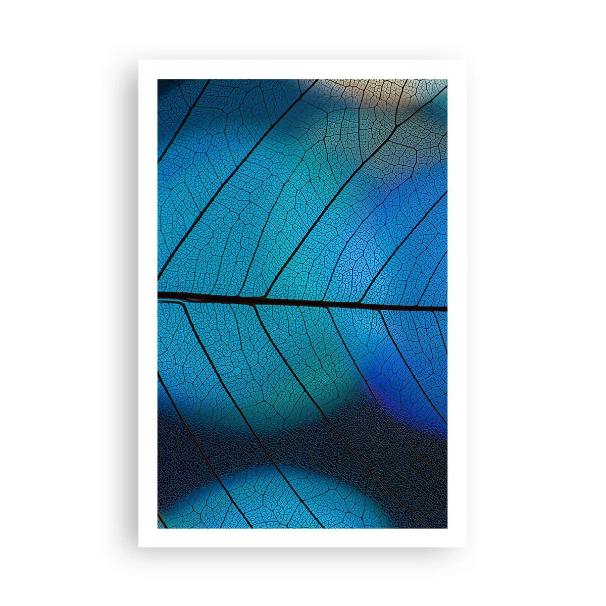 Poszter - Bonyolult konstrukció - 61x91 cm