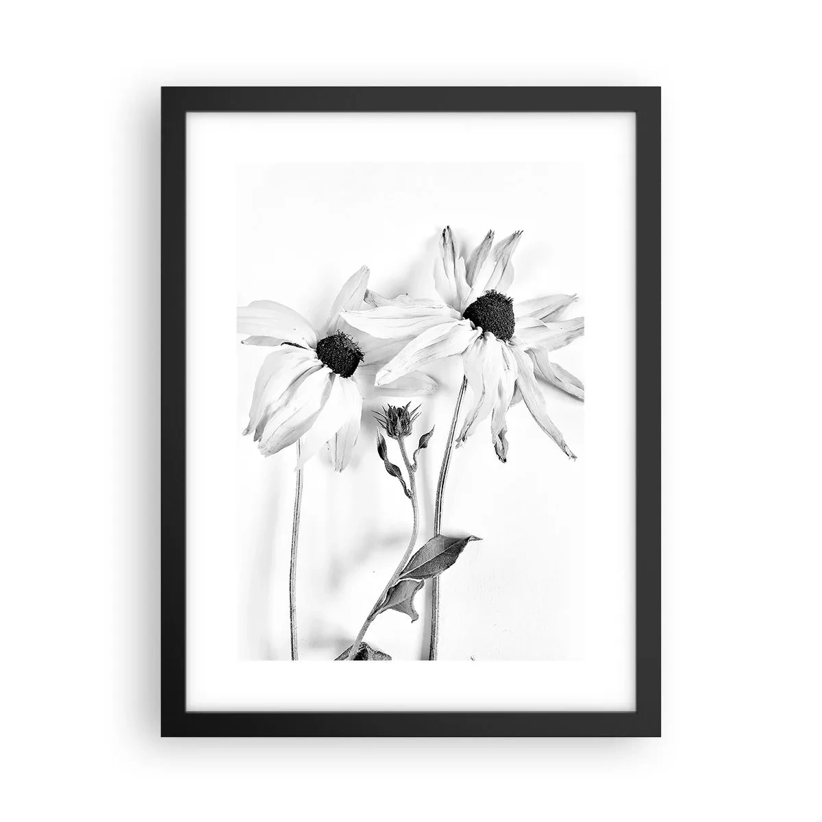 Poszter fehér keretben - Senki sem akar egyedül lenni - 30x40 cm