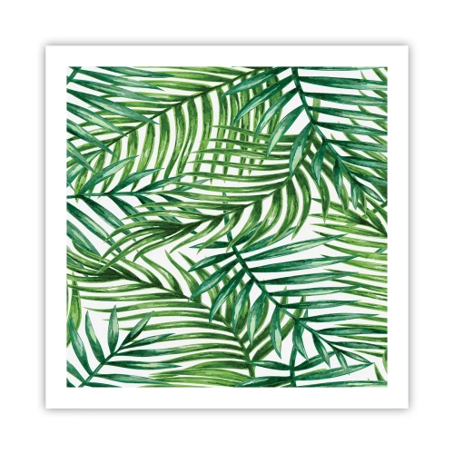Poszter - A zöld lombkorona alatt - 60x60 cm