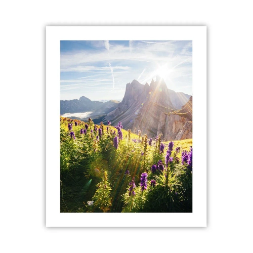 Poszter - A gyógynövények titkos élete - 40x50 cm