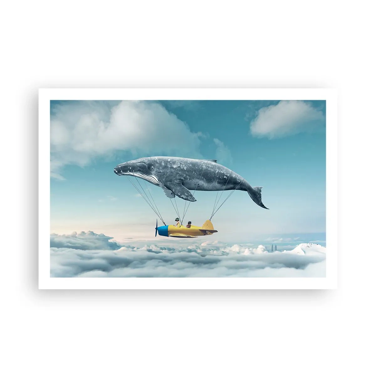 Poszter - Miért is ne? - 91x61 cm